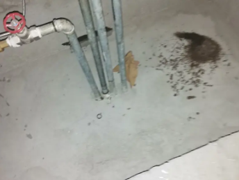 普宁卫生间测漏水价格明细