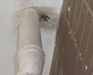 普宁漏水检测哪家好